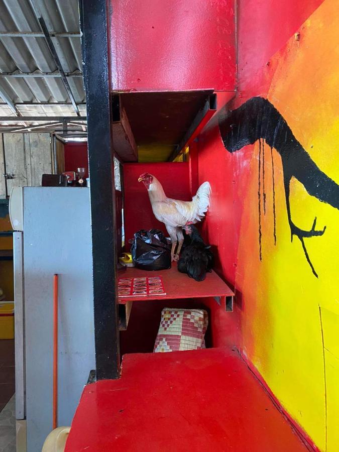 Lucky Sun Saracen Bay Hostel Đảo Koh Rong Samloem Ngoại thất bức ảnh
