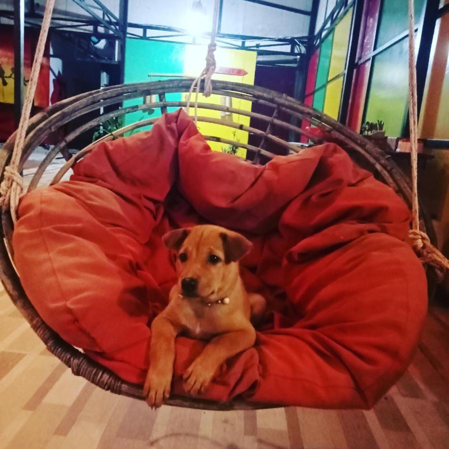 Lucky Sun Saracen Bay Hostel Đảo Koh Rong Samloem Ngoại thất bức ảnh